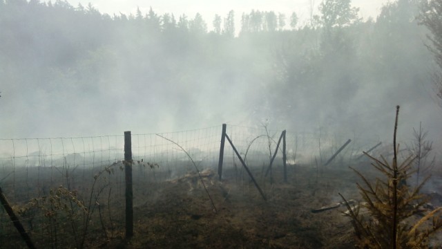 Požár lesa Vlastějovice