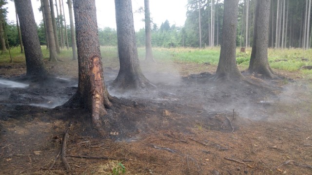 Požár lesa Strojetice