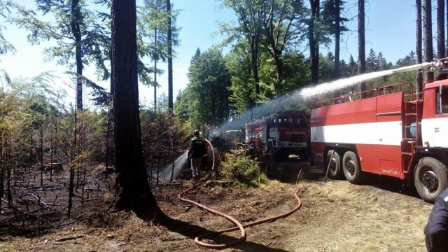 Požár lesa Slavětín